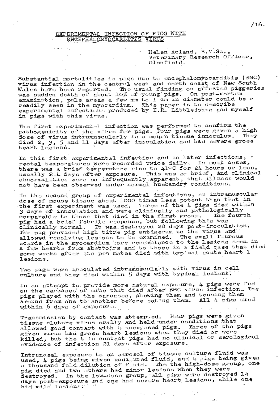 1975 page 16